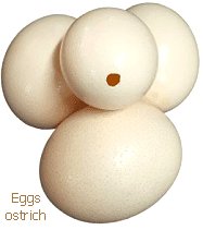 Can be painted or engraved as decorative art. South Africa, Pretoria, Villieria