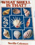 Books about seashells. South Africa, Pretoria, Villieria