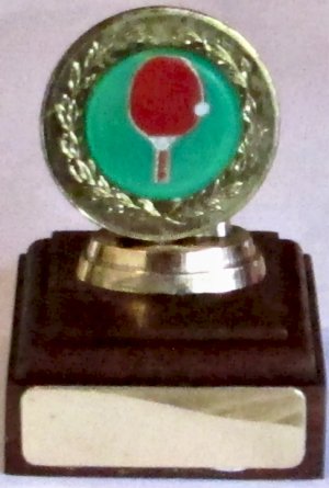 Vintage button pins + small collectables - small statues, etc. Buy from South Africa, Pretoria, Villieria