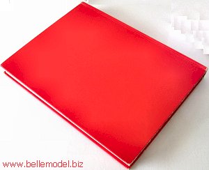 Books: Royal family yearbook III by Trevor Hall. South Africa, Pretoria, Villieria