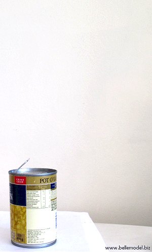 Tin can openers. South Africa, Pretoria, Villieria